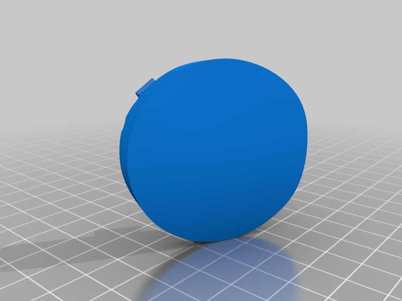 Front bumper cap for 2000 Ford Focus