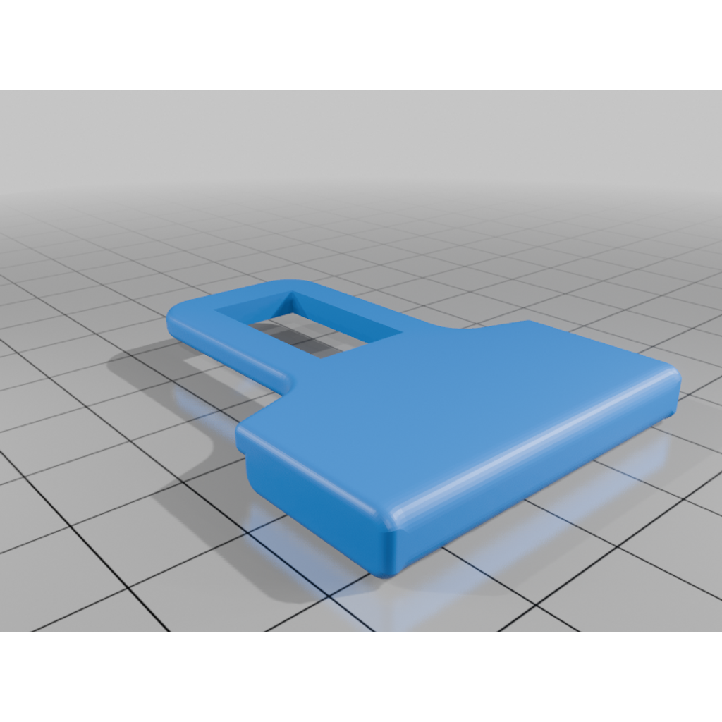 Seat Belt Buckle