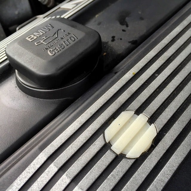 Engine Cover Bolt Plug for 2000 BMW 3 Series
